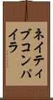 ネイティブ・コンパイラ Scroll