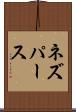ネズパース Scroll