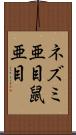 ネズミ亜目 Scroll