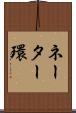 ネーター環 Scroll