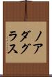 Noah Douglas Scroll