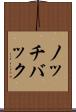 ノッチバック Scroll