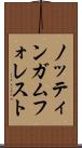 ノッティンガム・フォレスト Scroll