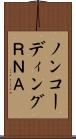 ノンコーディングＲＮＡ Scroll