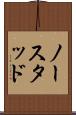 ノースタッド Scroll