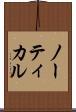 ノーティカル Scroll