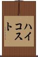 ハイコスト Scroll