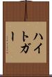 ハイトガー Scroll