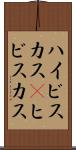 ハイビスカス(P) Scroll