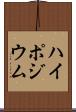 ハイポジウム Scroll