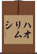 ハオリムシ Scroll