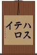 ハステロイ Scroll