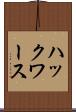 ハックワース Scroll