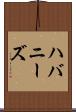 ハバニーズ Scroll