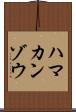 ハマカンゾウ Scroll