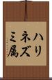ハリネズミ属 Scroll