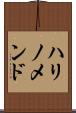 ハリノメンド Scroll