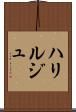 ハリルジュ Scroll