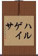 ハルゲイサ Scroll