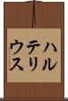 ハルテリウス Scroll