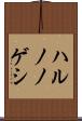 ハルノノゲシ Scroll