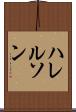 ハレルソン Scroll