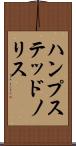 ハンプステッドノリス Scroll