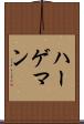 ハーゲマン Scroll