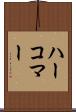 ハーコマー Scroll