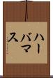 ハーバマス Scroll