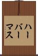 ハーバーマス Scroll