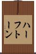 ハーフトーン Scroll