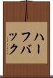 ハーフバック Scroll