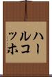 ハールコッホ Scroll