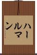 ハールマン Scroll