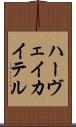 ハーヴェイ・カイテル Scroll