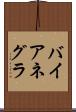 バイアネグラ Scroll