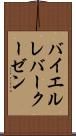 バイエル・レバークーゼン Scroll