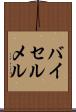 バイセルメル Scroll