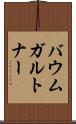 バウムガルトナー Scroll