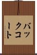 バックコート Scroll