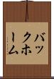 バックホーム Scroll