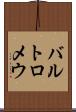 バルトロメウ Scroll