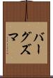 バーグズマ Scroll