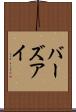 バーズアイ Scroll