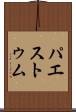 パエストゥム Scroll