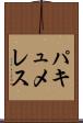 パキュメレス Scroll