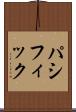 パシフィック Scroll