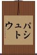 パシュトウ Scroll