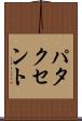 パタクセント Scroll
